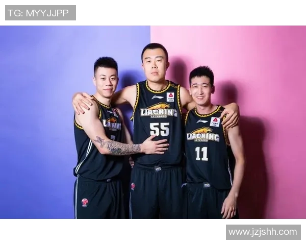 天津对阵辽宁精彩视频直播全程回顾与赛后分析 天津对阵辽宁精彩视频直播全程回顾与赛后分析