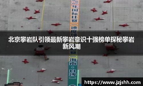 星空综合官网首页